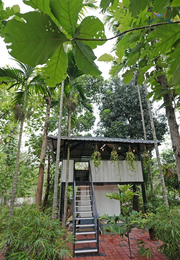פלקאד Serenity Villa And Treehouse מראה חיצוני תמונה
