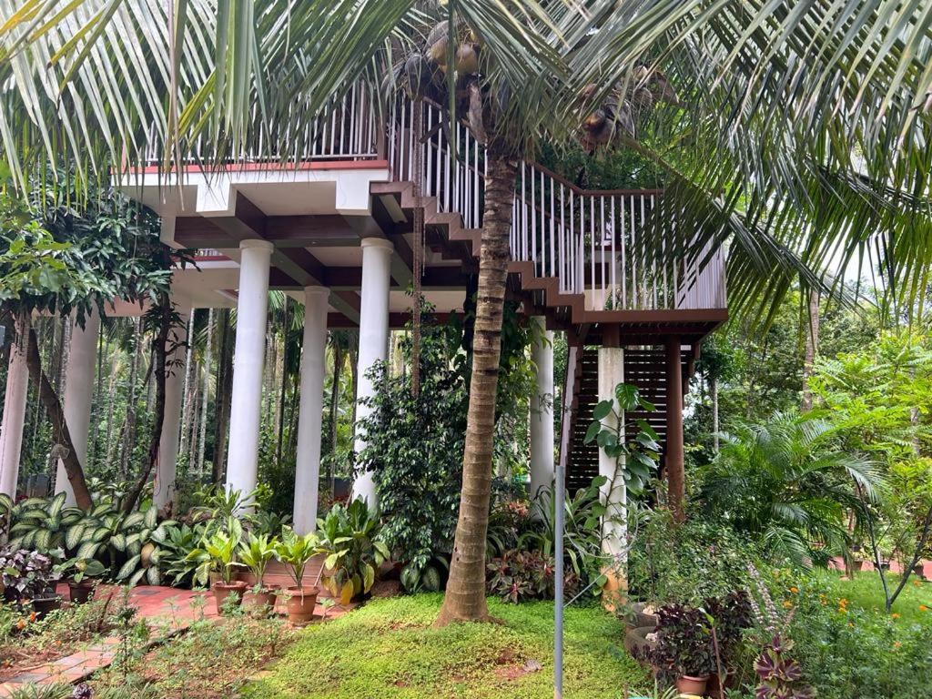 פלקאד Serenity Villa And Treehouse מראה חיצוני תמונה