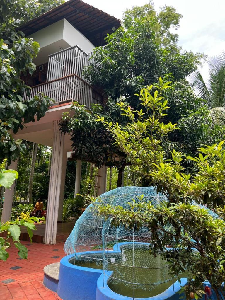 פלקאד Serenity Villa And Treehouse מראה חיצוני תמונה
