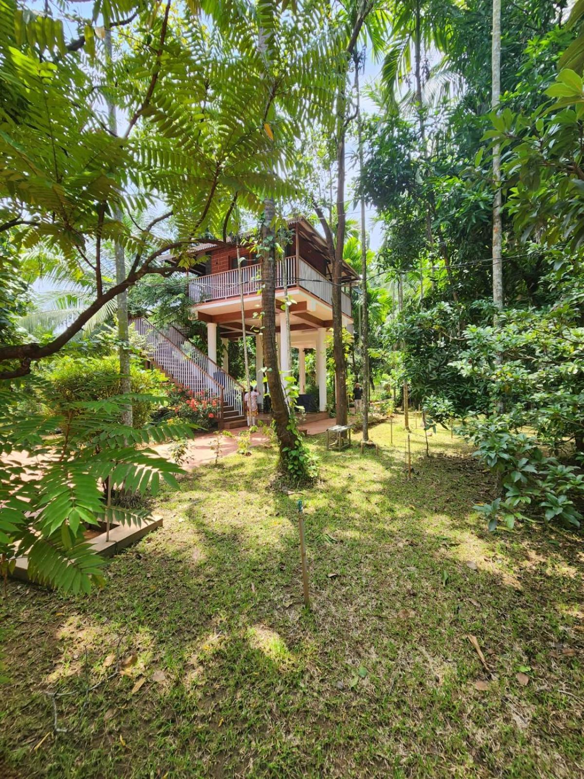 פלקאד Serenity Villa And Treehouse מראה חיצוני תמונה
